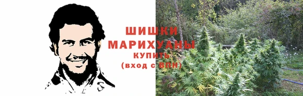 шишки Балахна