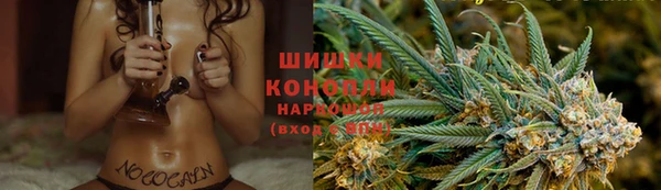 герыч Шадринск