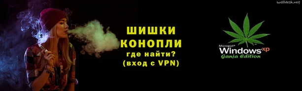 шишки Балахна