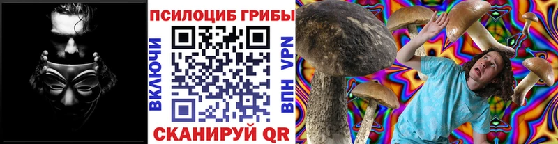 Псилоцибиновые грибы GOLDEN TEACHER Реутов