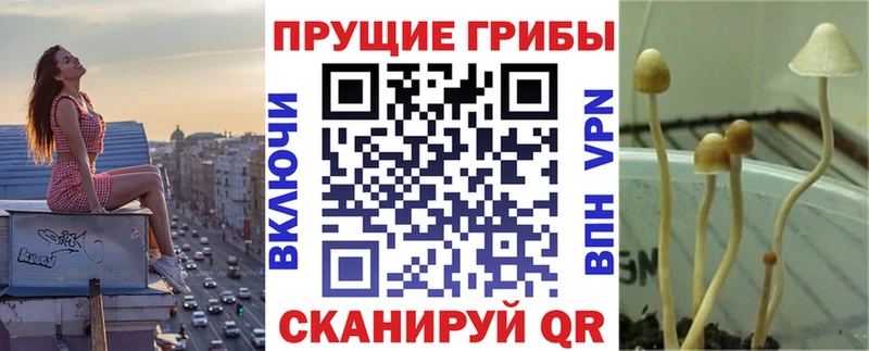 наркотики Реутов Галлюциногенные грибы Magic Shrooms